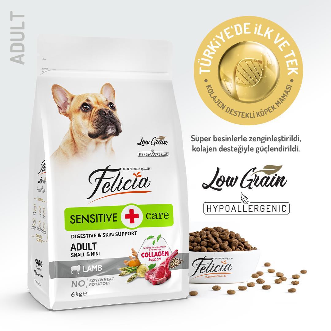 Felicia® Sensitive Care Kuzu Etli Küçük Irk Yetişkin Köpek Maması 6 Kg
