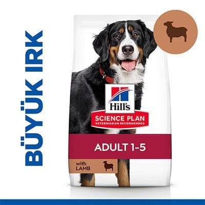 Hill's SCIENCE PLAN Adult Large Büyük Irk Kuzulu Yetişkin Köpek Maması 14Kg
