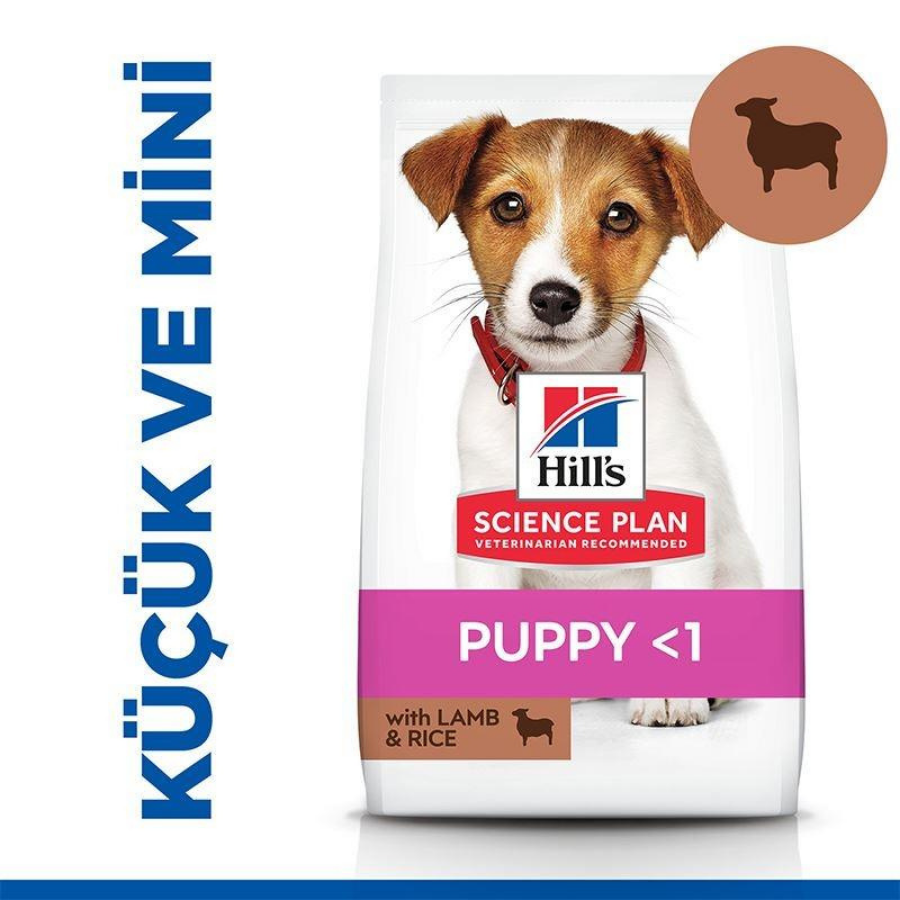 Hill's SCIENCE PLAN Kuzulu ve Pirinçli Küçük ve Mini Irk Yavru Köpek Maması 6Kg