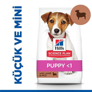 Hill's SCIENCE PLAN Kuzulu ve Pirinçli Küçük ve Mini Irk Yavru Köpek Maması 6Kg