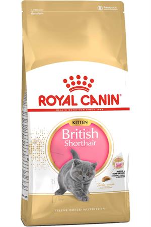 Royal Canin Kitten British Shorthair Yavru Kedi Maması 2kg