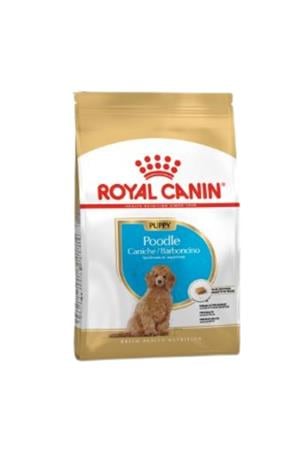Royal Canin® Puppy Poodle Yetişkin Köpek Maması 3 Kg