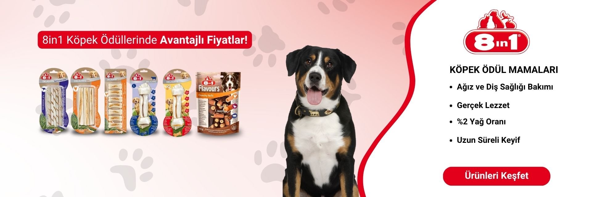 8in1 Markalı Ürünler