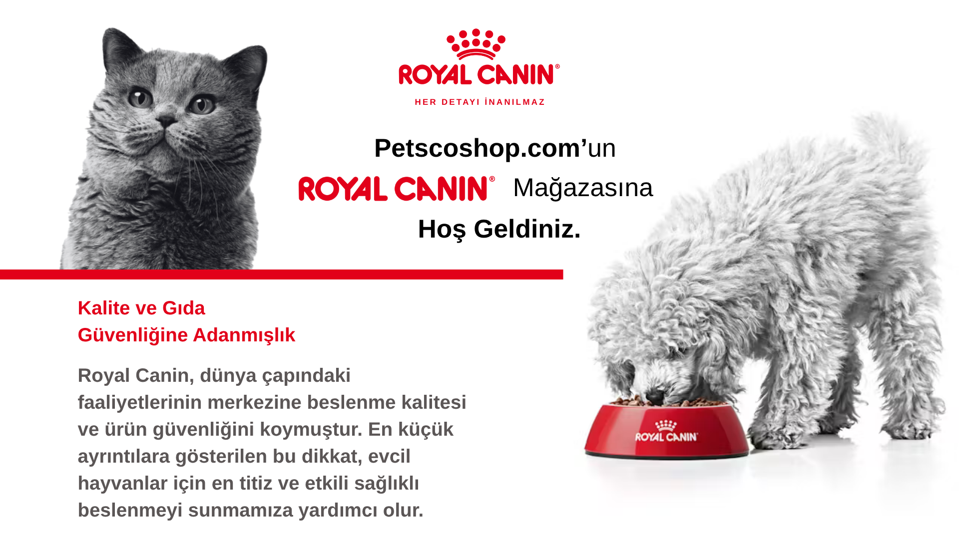 Royal Canin Kedi Mamaları