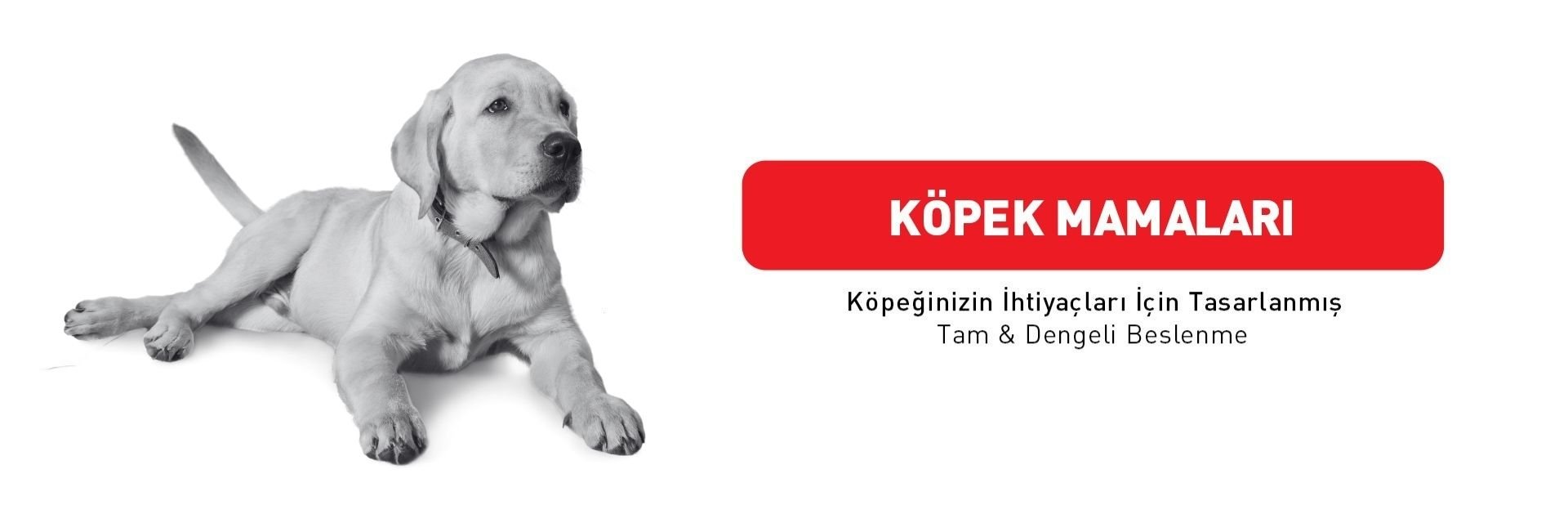 Royal Canin Köpek Mamaları
