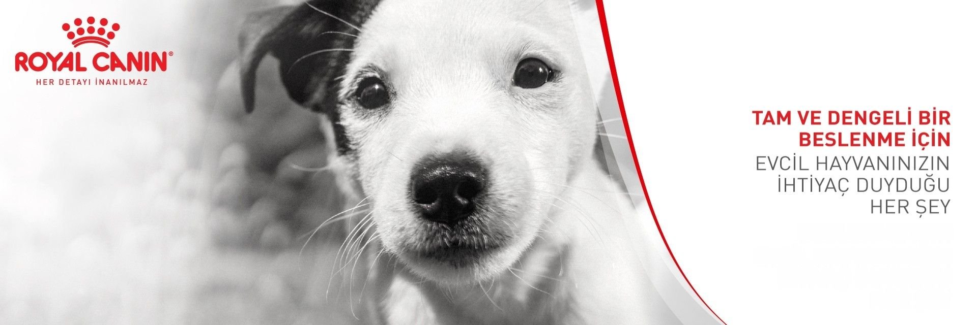 Royal Canin Köpek Mamaları