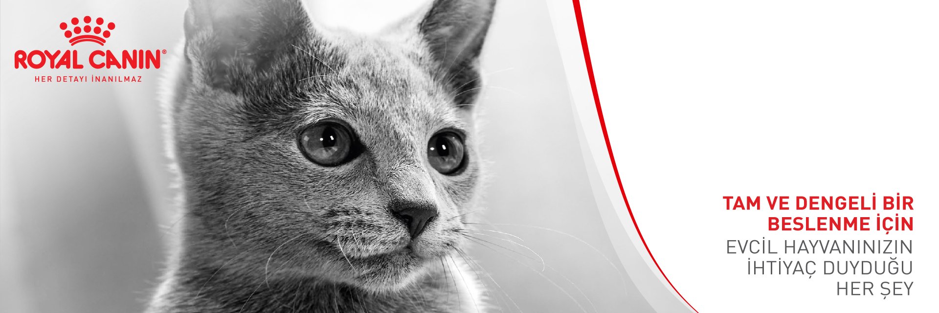 Royal Canin Kedi Mamaları