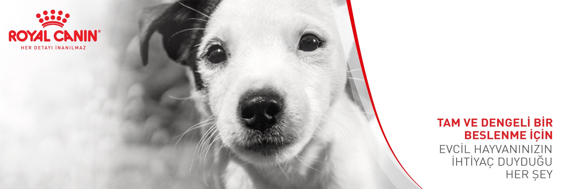 Royal Canin Köpek Mamaları
