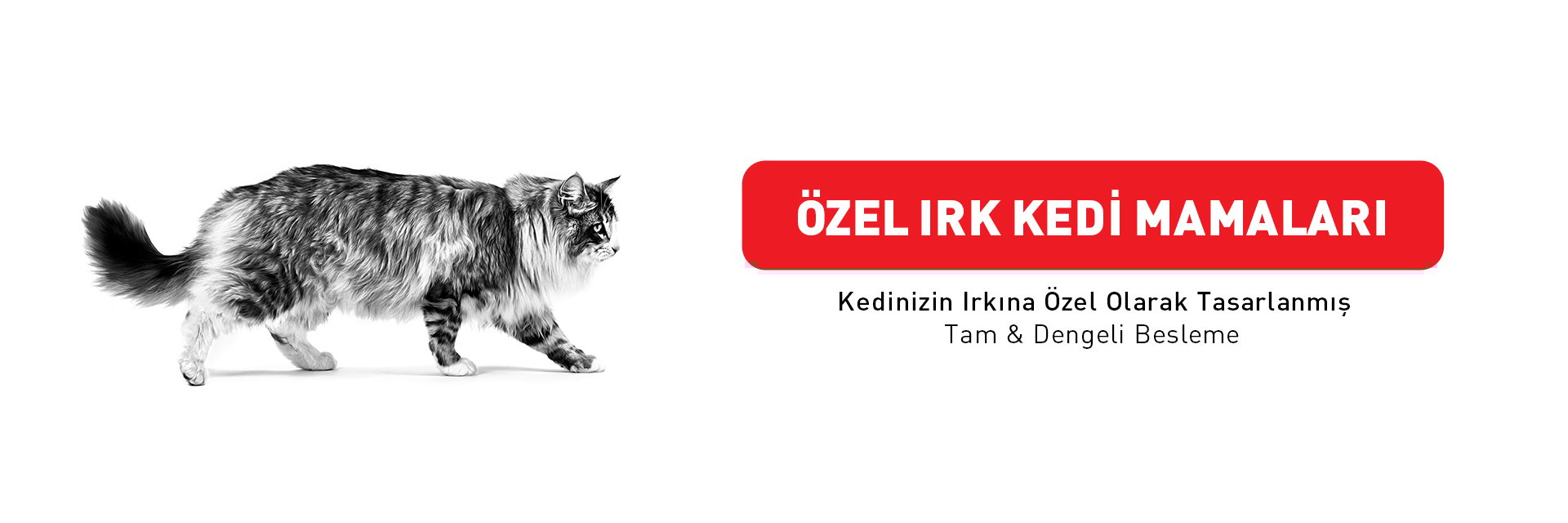 Royal Canin Özel Irk Kedi Mamaları