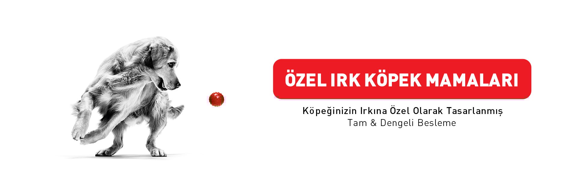 Royal Canin Özel Irk Köpek Mamaları