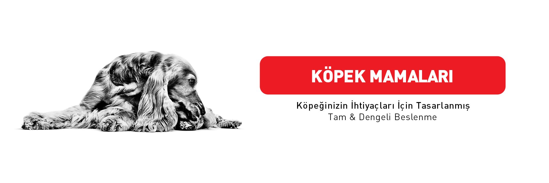 Royal Canin Köpek Mamaları