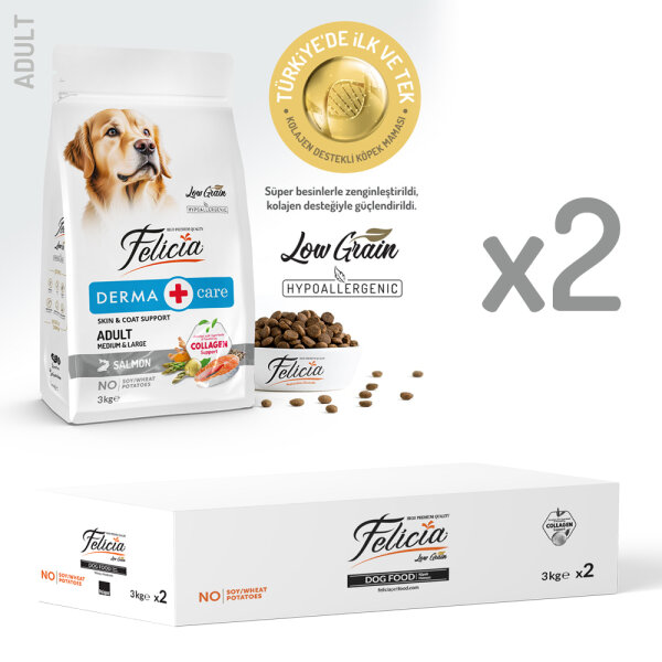 Felicia Derma Care Somonlu Orta ve Büyük Irk Yetişkin Köpek Maması 6Kg
