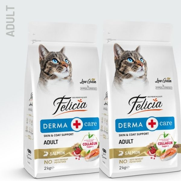 Felicia Derma Care Somonlu Yetişkin Kedi Maması 2Kg X 2 Adet