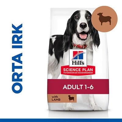 Hill's SCIENCE PLAN Adult Medium Orta Irk Kuzulu Yetişkin Köpek Maması 14Kg