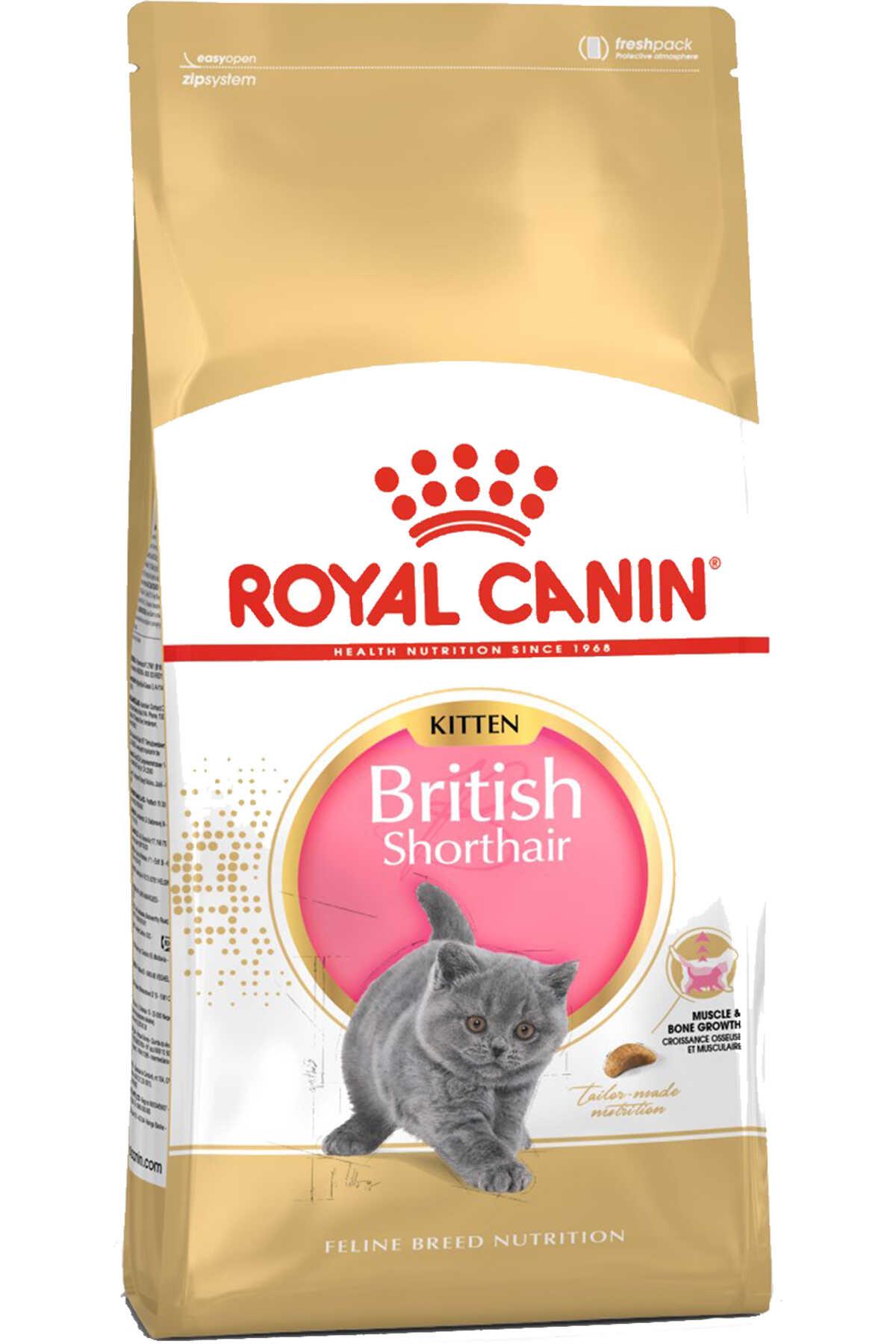 Royal Canin Kitten British Shorthair Yavru Kedi Maması 2kg