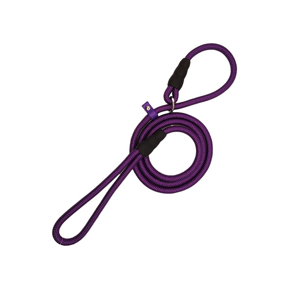 Zichen Köpek Eğitim Tasma Seti Metalik Mor Large