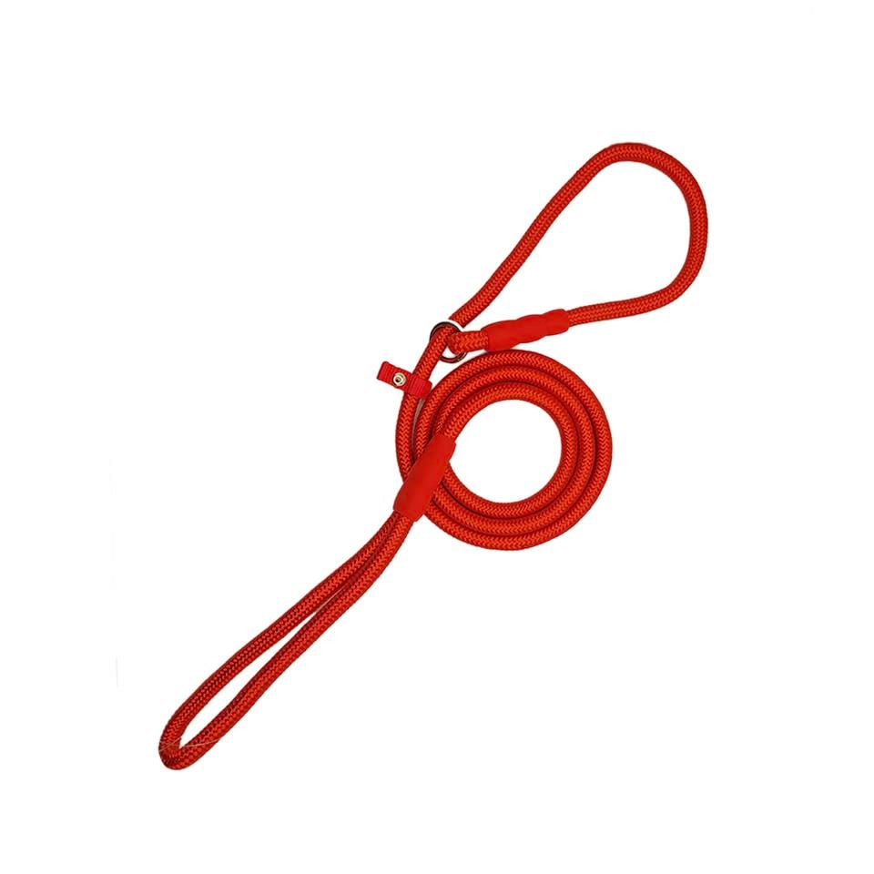 Zichen Köpek Eğitim Tasma Seti Metalik Kırmızı Large