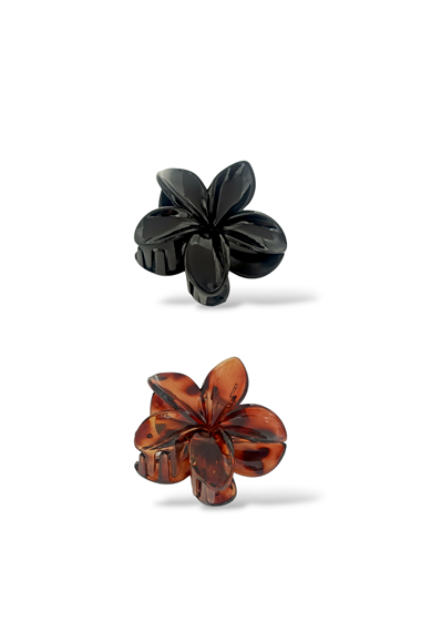 2li Hibiscus Asetat 3 cm Mandal Toka 