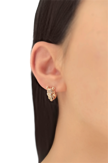 Arı Küpe TrKüpe35218