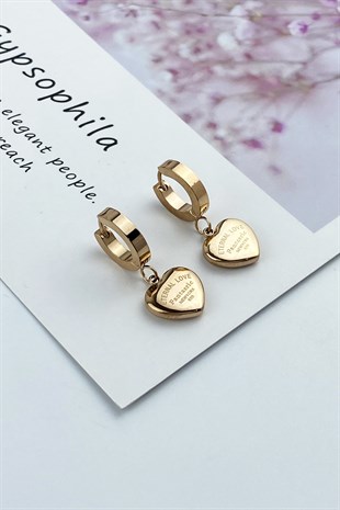 Çelik Kalp Figür Halka Çelik Küpe TrKüpe3651 B33503