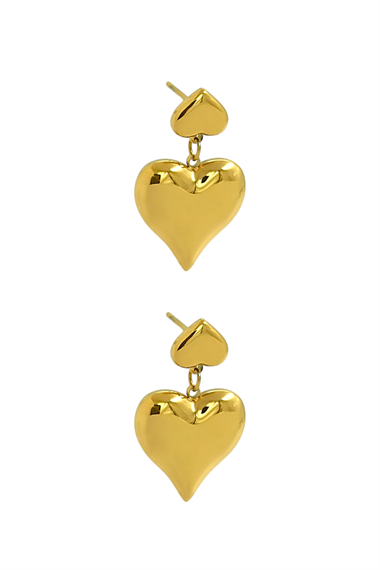 Çelik Plaka 2 Sıra Kalp Küpe