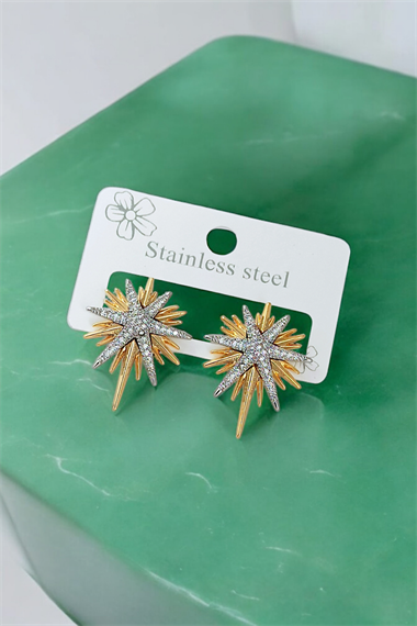 Çelik Taş İşlemeli Plaka Kuzey Yıldız Küpe