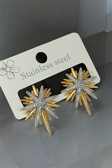 Çelik Taş İşlemeli Plaka Kuzey Yıldız Küpe