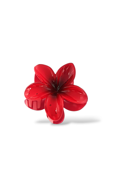 Hibiscus Lüks Asetat Mandal Toka TrToka9945