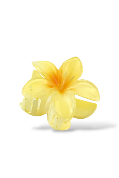 Hibiscus Lüks Asetat Mandal Toka TrToka9945