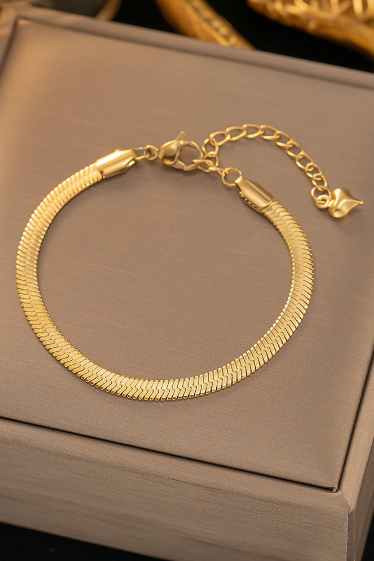 Çelik İtalyan Zincir Bayan Çelik Bileklik TrBilek7439 B33003