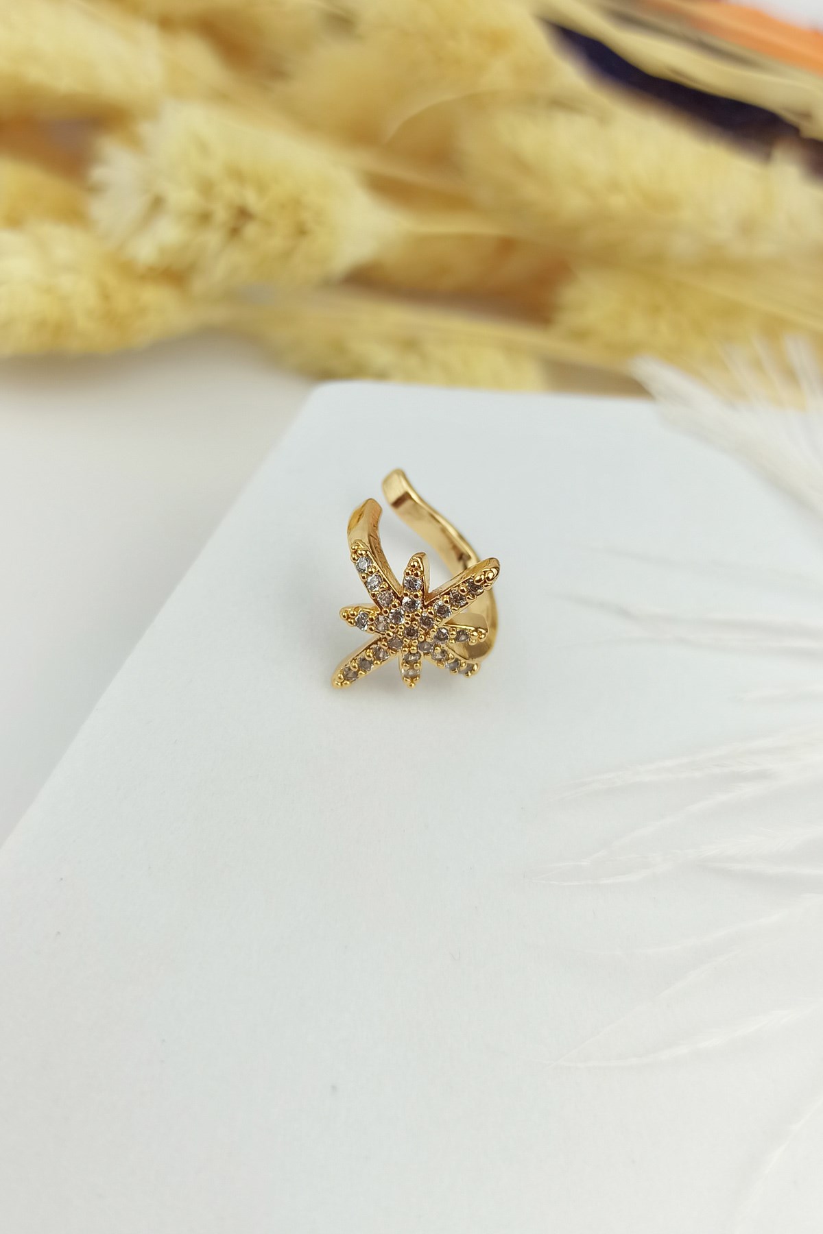 Tekli Taşlı Kuzey Yıldız Kıkırdak Küpe TrKüpe34031 B32503