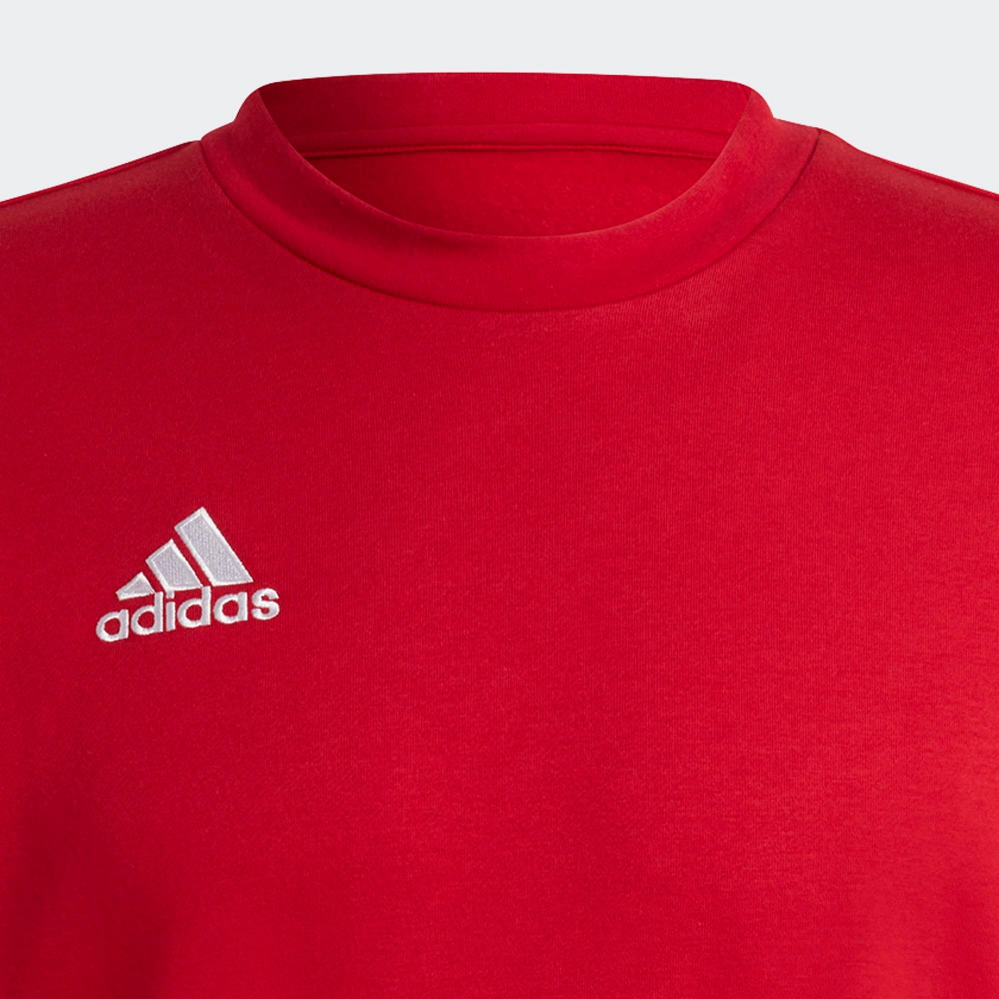 adidas Entrada 22 Erkek Sweatshirt