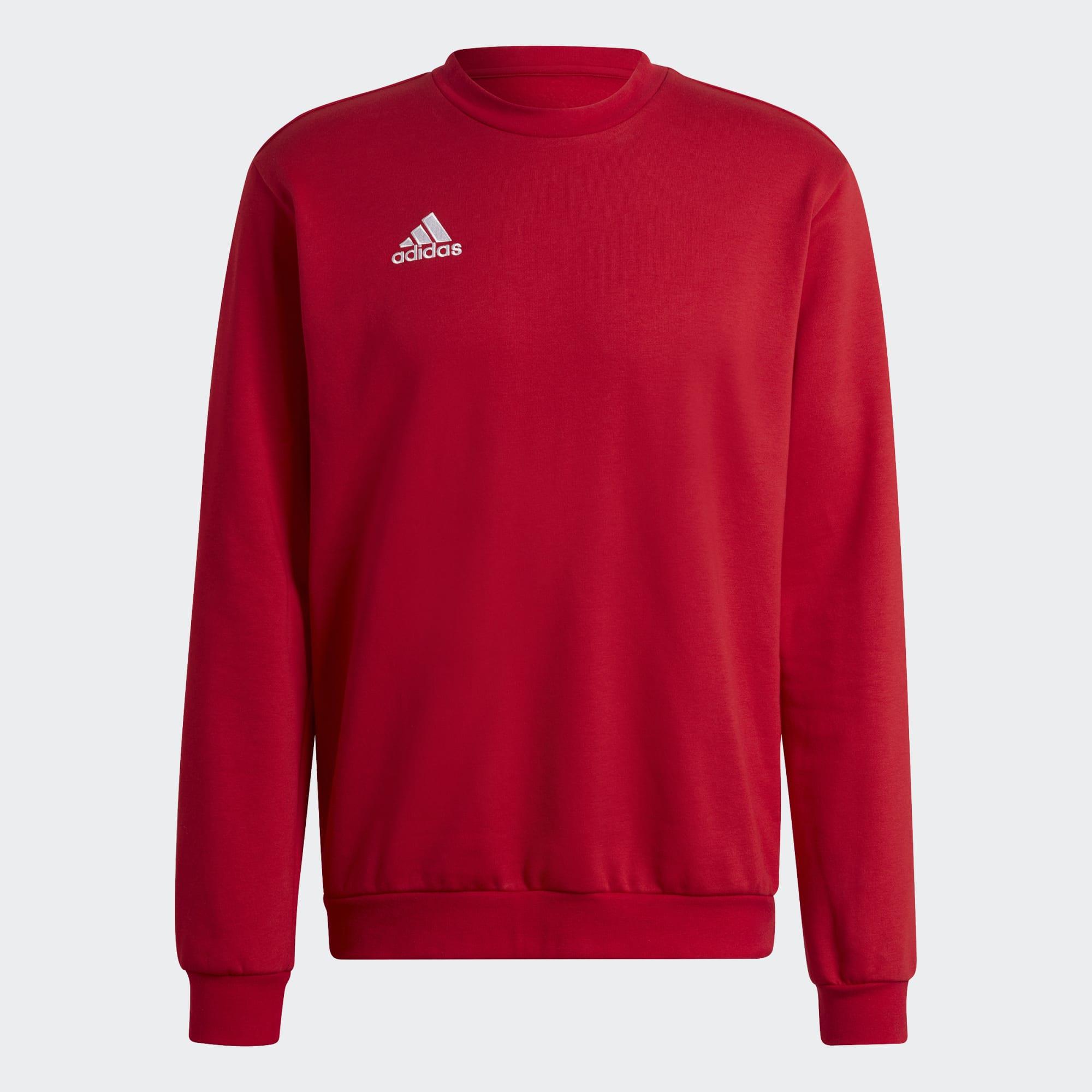 adidas Entrada 22 Erkek Sweatshirt
