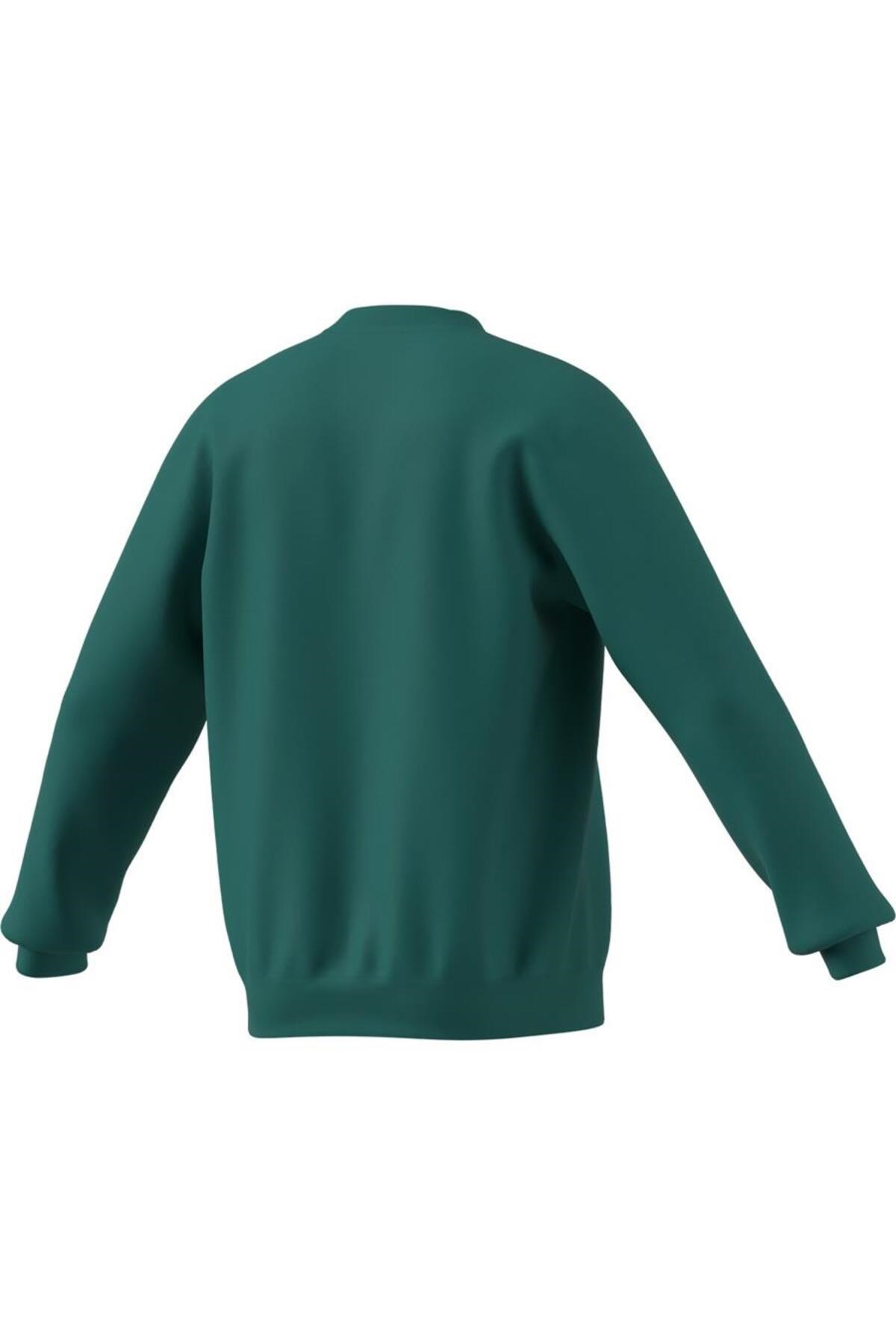 adidas Terrex Snow Graphic Crew Sweatshirt