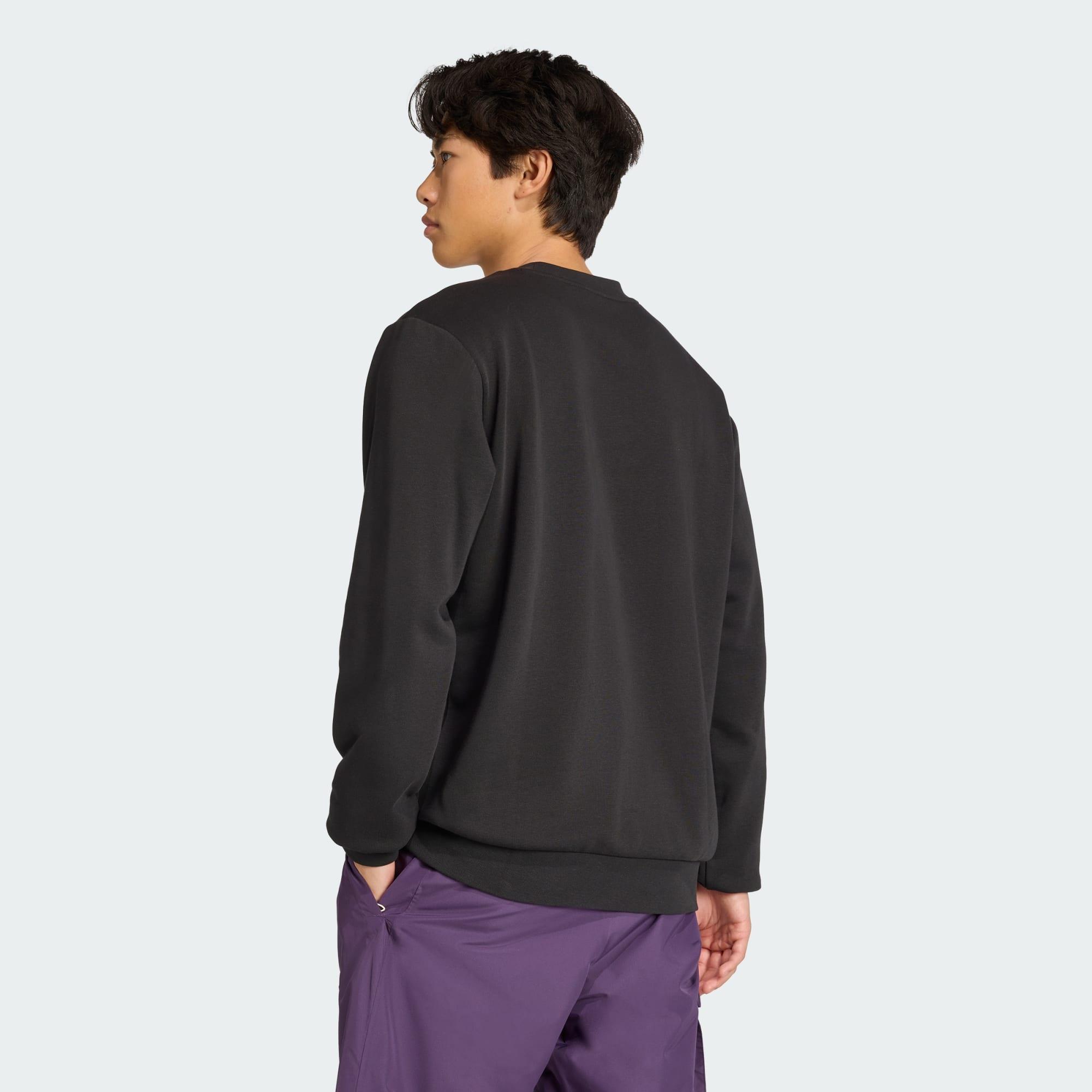 adidas Terrex Snow Graphic Crew Sweatshirt