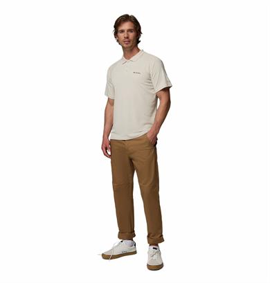 Alpine Chill Pro Erkek Kısa Kollu Polo Tişört