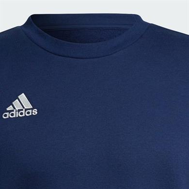 adidas Entrada 22 Erkek Sweatshirt