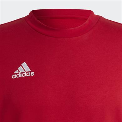 adidas Entrada 22 Erkek Sweatshirt