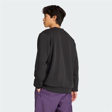 adidas Terrex Snow Graphic Crew Sweatshirt