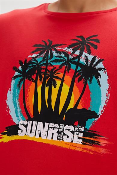 BAD BEAR Ricardo Erkek Tişört