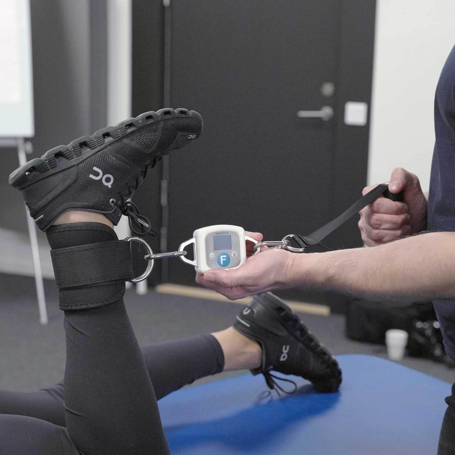 EasyForce® Digital Dynamometer ve Standard Aksesuar KİtDinamometreMeloq12-1114