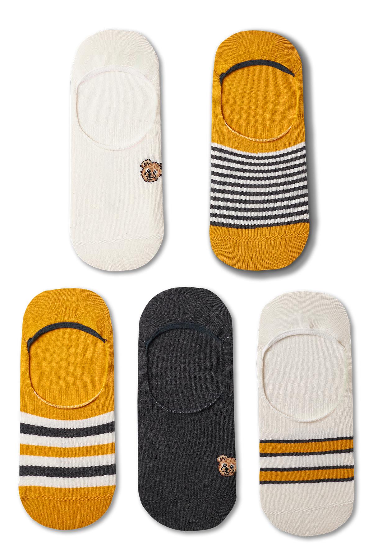 Erkek Ayı Teddy Detaylı 5li Görünmez Babet Çorap