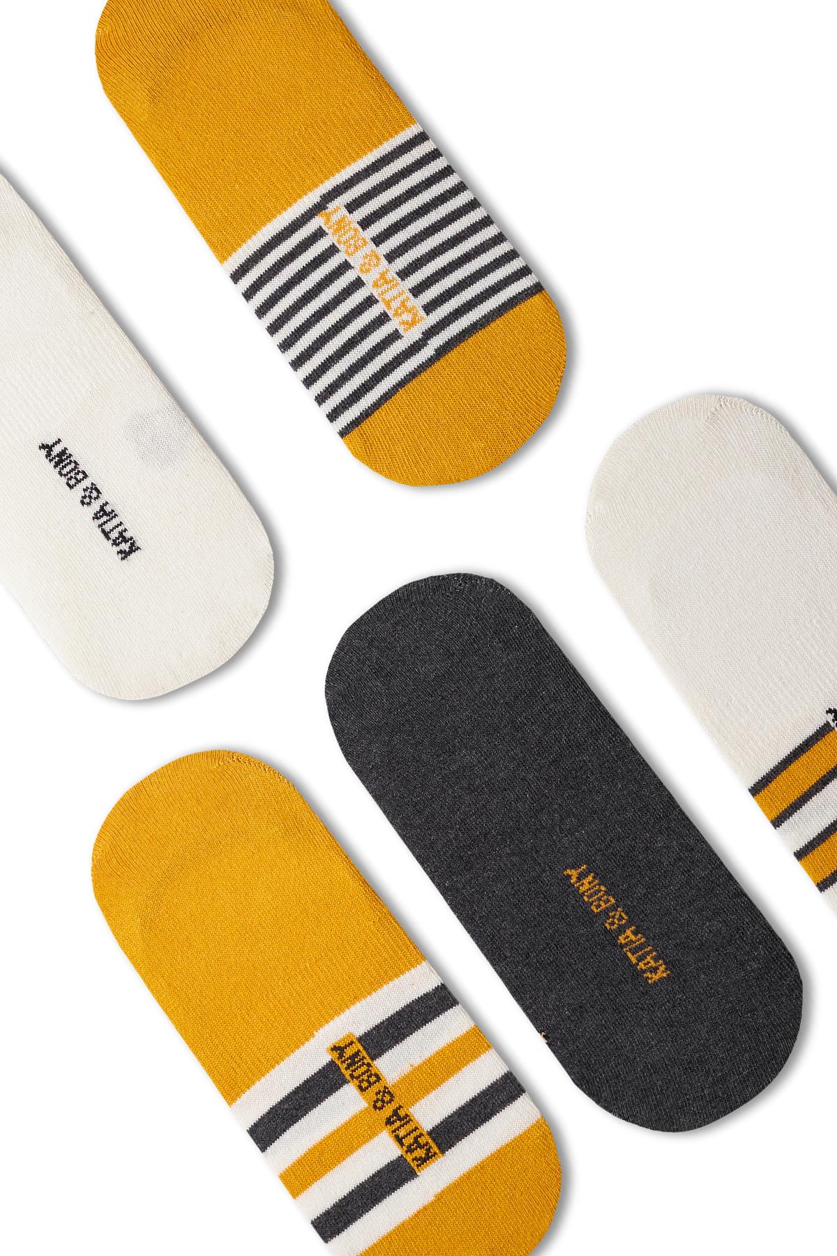 Erkek Ayı Teddy Detaylı 5li Görünmez Babet Çorap