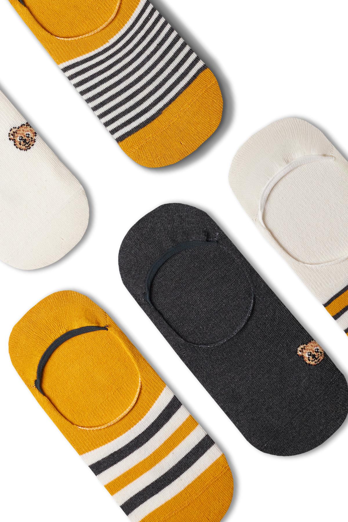 Erkek Ayı Teddy Detaylı 5li Görünmez Babet Çorap