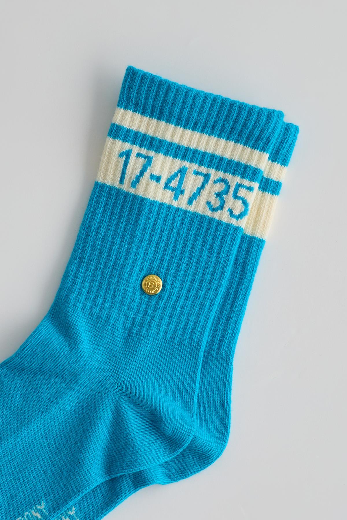 Women’s Striped Ankle Socks Blue