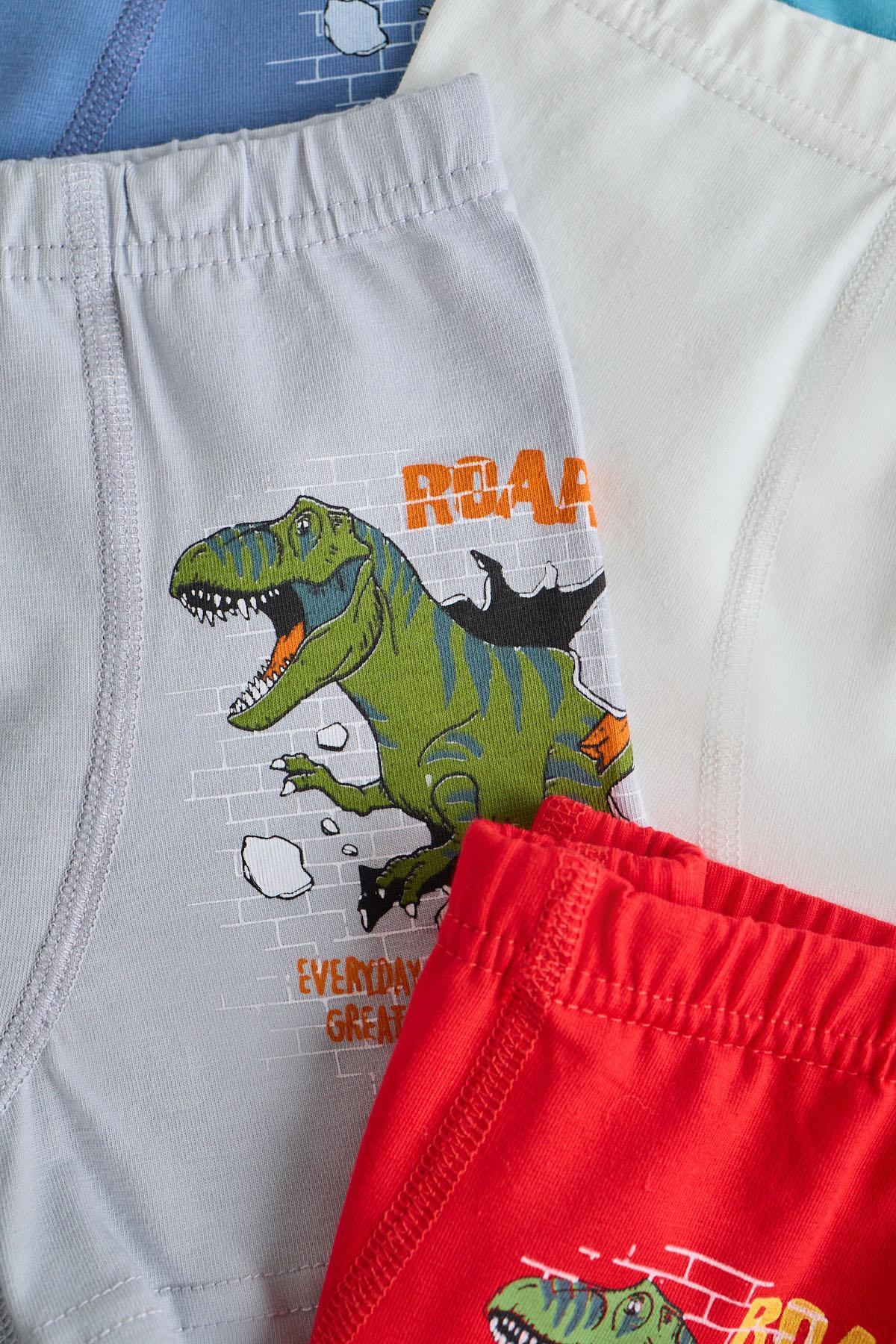 Boys 5-Pack Multi-Colored Dinosaur Printed Socks