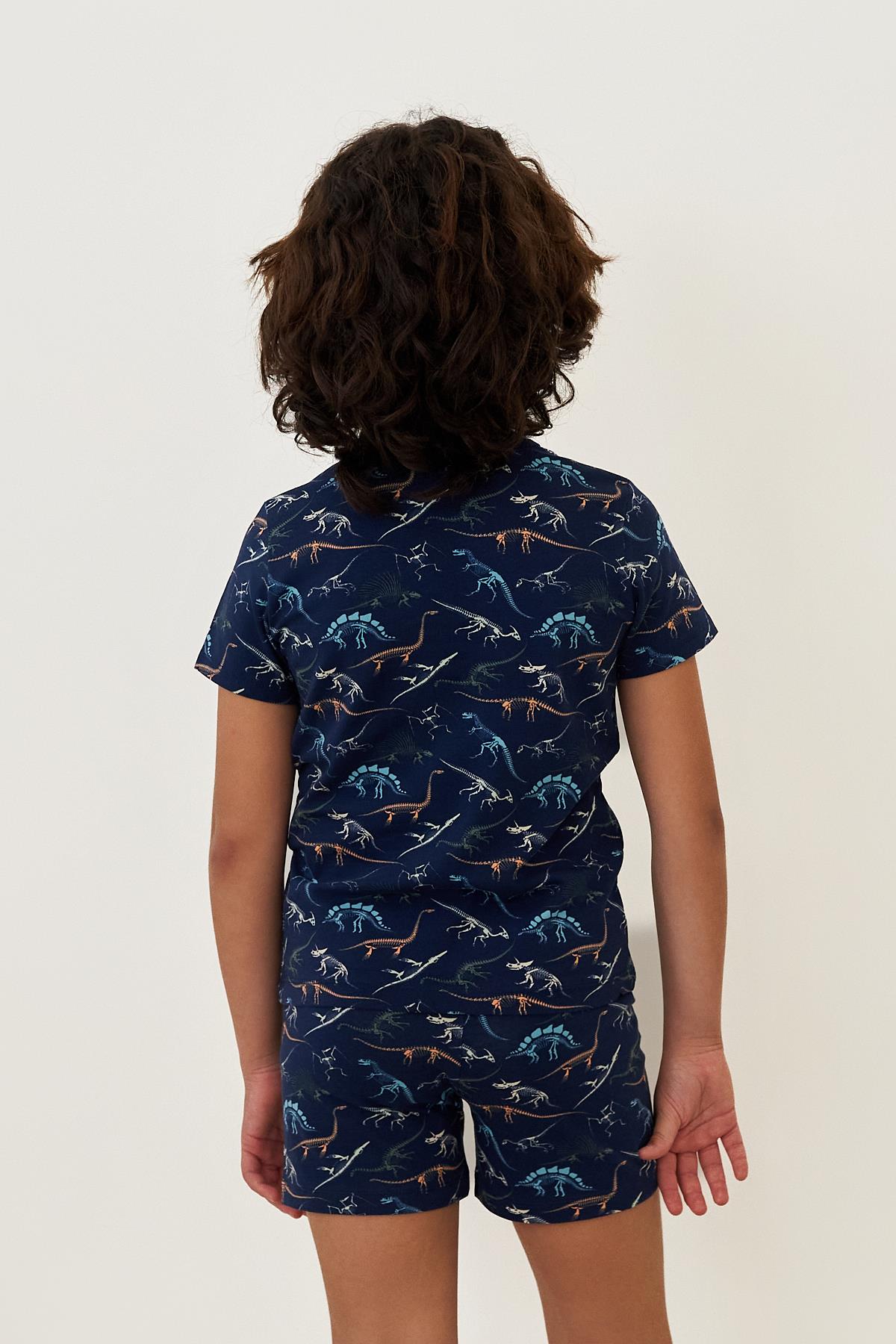 Boys Dinosaur Patterned Shorts Pajama Set