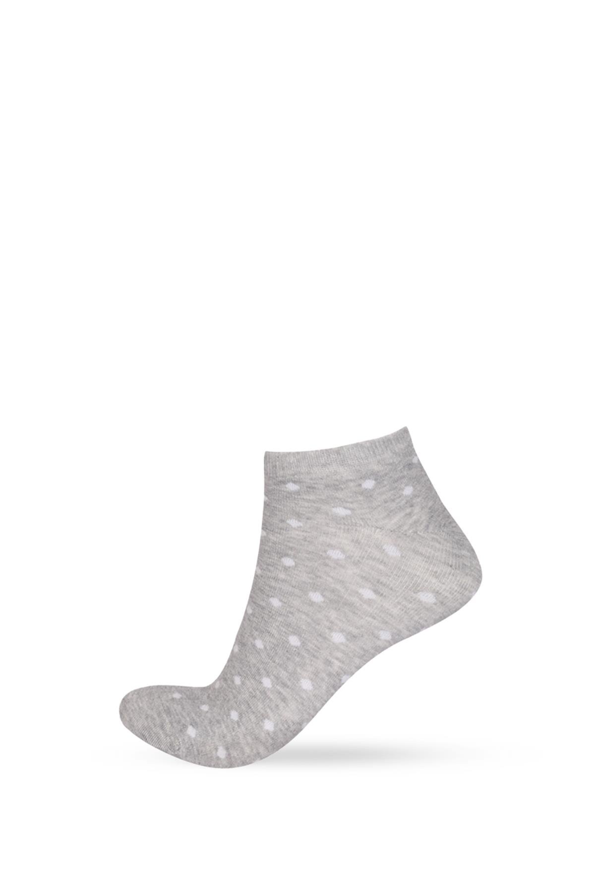 3-Pack Womens Dog Patterned Step Socks
