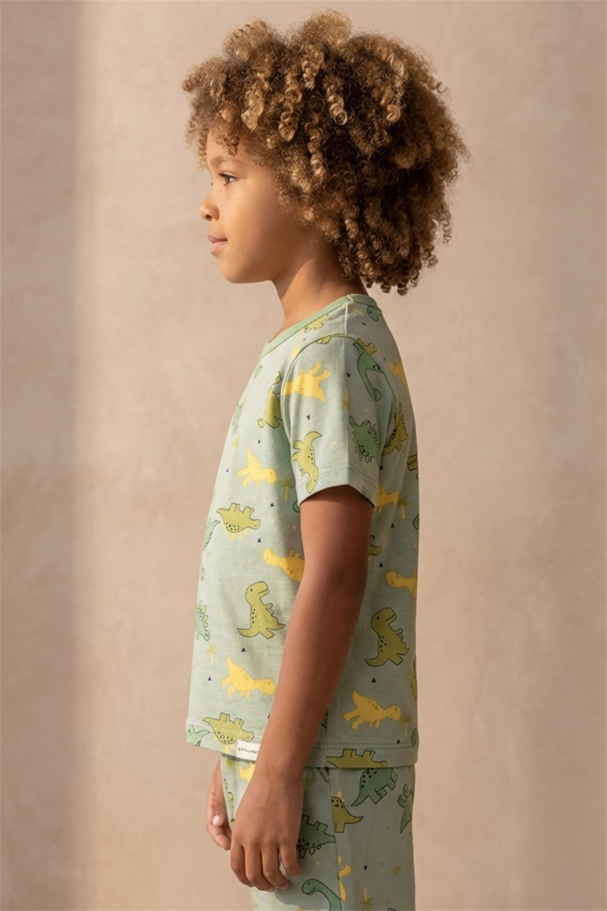Dinosaur Patterned Packaged Green Boy Shorts Set