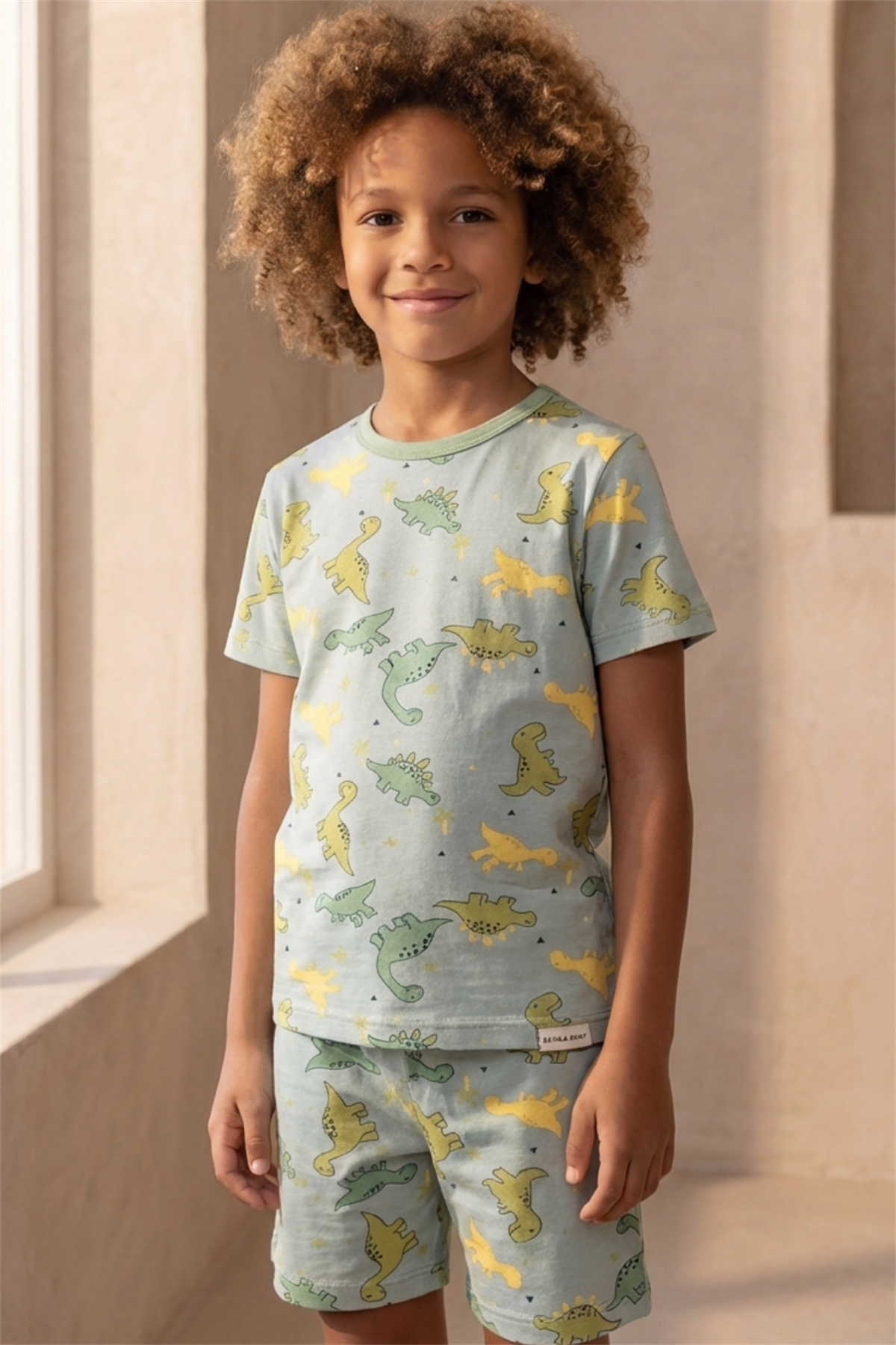 Dinosaur Patterned Packaged Green Boy Shorts Set